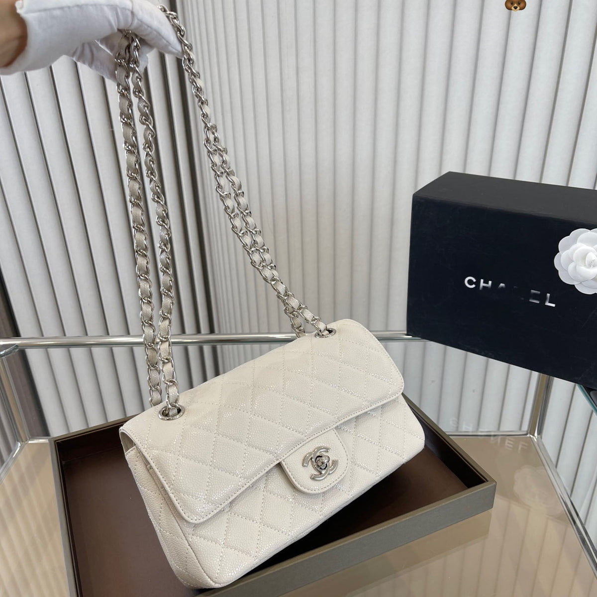 Six Color Classic Flap Chain Bag WLFBG23021716